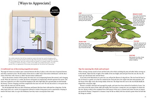 Introduction to Bonsai: The Complete Illustrated Guide for Beginners (with Monthly Growth Schedules and over 2,000 Illustrations)