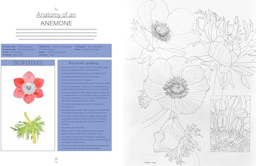 Botanical Watercolours through the Seasons: An all-year-round guide to painting flowers and plants