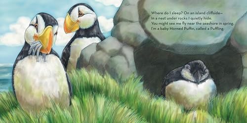 Where Do I Sleep?: A Nature Lullaby