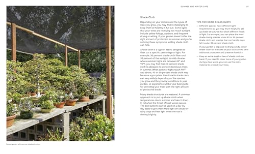 The Essential Bonsai Book: Techniques for Creating Beautiful Trees