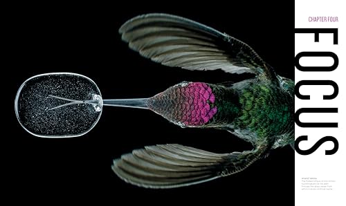 National Geographic Invisible Wonders: Photographs of the Hidden World