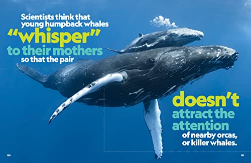 That's Fact-tastic!: Mind-blowing, Eye-popping, Jaw-dropping Stuff About Our World (Bet You Didn't Know)