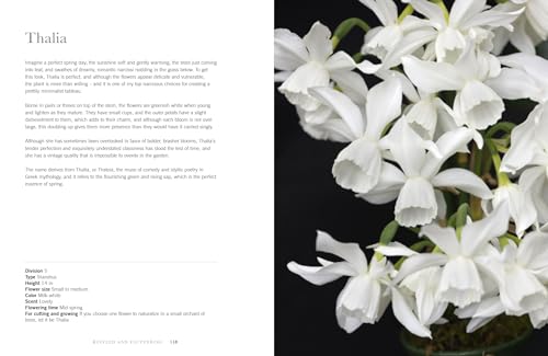 Daffodils: Beautiful Varieties for Home and Garden (Flowers)