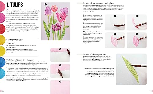 Anyone Can Paint Watercolour Flowers: 6 easy step-by-step projects to get you started
