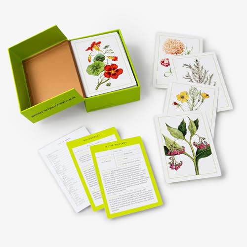 New York Botanical Garden Herb Identification Flashcards: 100 Common Herbs of North America