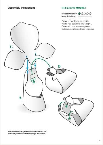 Origami Orchids Kit: 20 Beautiful Die-Cut Paper Models