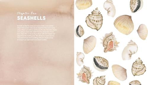 Everyday Watercolor Seashores: A Modern Guide to Painting Shells, Creatures, and Beaches Step by Step