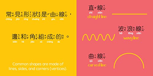 Dragon Boat Festival - Traditional: A Bilingual Book in English and Mandarin with Traditional Characters, Zhuyin, and Pinyin (Bitty Bao)