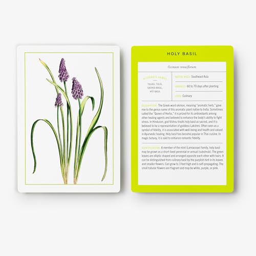 New York Botanical Garden Herb Identification Flashcards: 100 Common Herbs of North America