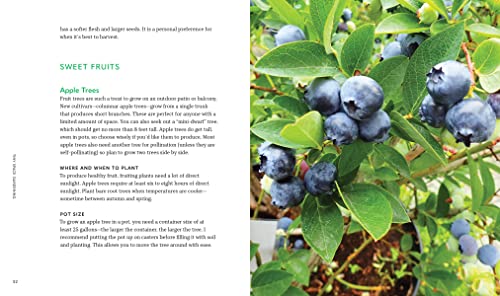 Tiny Space Gardening: Growing Vegetables, Fruits, and Herbs in Small Outdoor Spaces (with Recipes)
