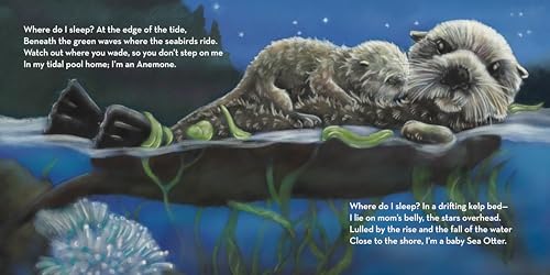 Where Do I Sleep?: A Nature Lullaby