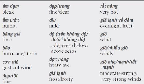 Essential Vietnamese: Speak Vietnamese with Confidence! (Vietnamese Phrasebook & Dictionary) (Essential Phrasebook & Disctionary Serie)