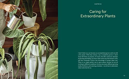 Welcome to the Jungle: Rare Tropical Houseplants to Collect, Grow, and Love