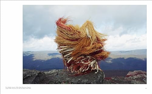 RE/SISTERS: A Lens on Gender and Ecology