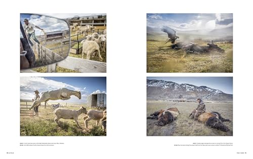 Bi-Polar: Photographs from an Unquiet Mind
