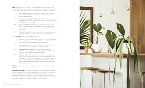 Welcome to the Jungle: Rare Tropical Houseplants to Collect, Grow, and Love