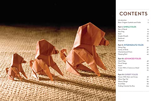 Outside the Box Origami: A New Generation of Extraordinary Folds: Includes Origami Book With 20 Projects Ranging From Easy to Complex