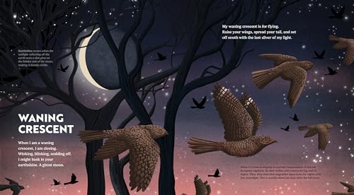 Wild Moon: How the Lunar Phases Light Up Our World