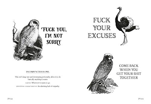 Effin' Birds: A Field Guide to Identification