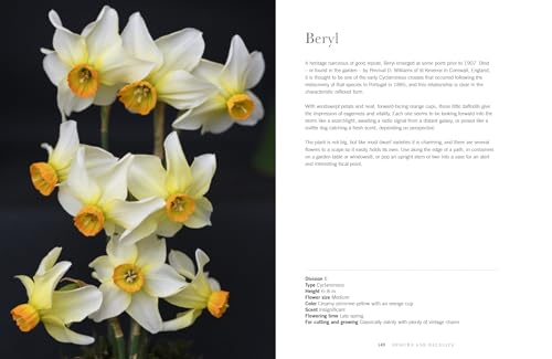 Daffodils: Beautiful Varieties for Home and Garden (Flowers)