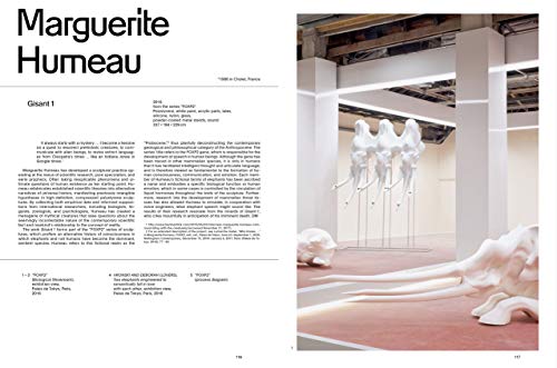 Blind Faith: Between the Visceral and the Cognitive in Contemporary Art