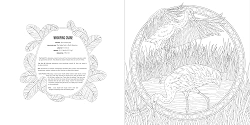 Animals: A Smithsonian Coloring Book Box Set