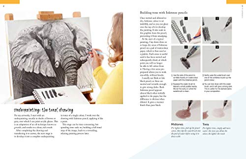 Art of Angela Gaughan, The: Techniques & inspiration for painting wildlife in acrylics