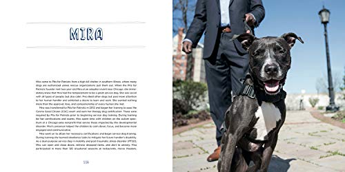 Pit Bull Heroes: 49 Underdogs with Resilience and Heart