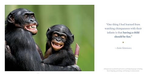 Amazing Dads: Love and Lessons From the Animal Kingdom