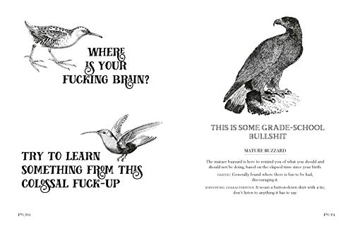 Effin' Birds: A Field Guide to Identification
