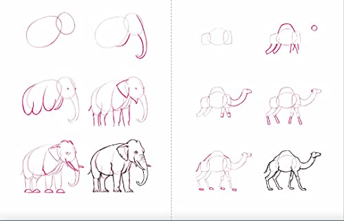 Draw 50 Animals: The Step-by-Step Way to Draw Elephants, Tigers, Dogs, Fish, Birds, and Many More...