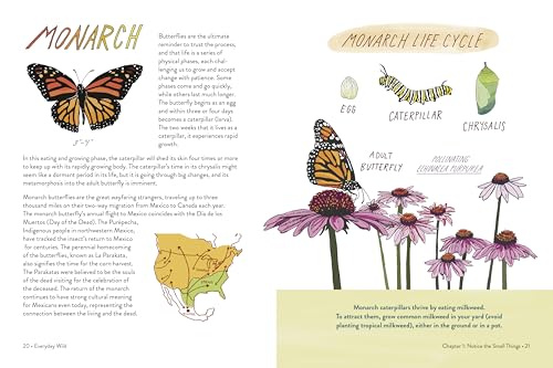 Everyday Wild: An Illustrated Guide for Mindfulness in Nature