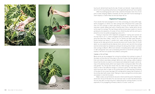 Welcome to the Jungle: Rare Tropical Houseplants to Collect, Grow, and Love