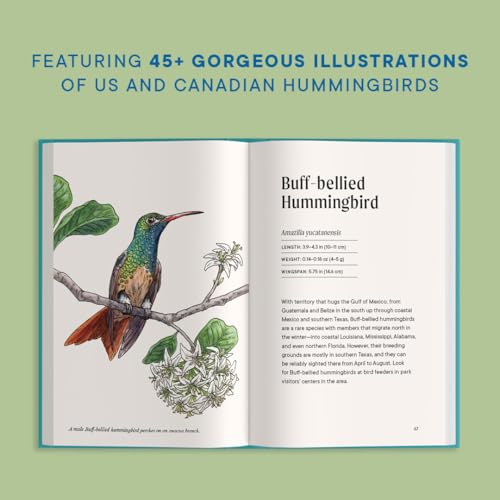 A Little Book of Hummingbirds (Little Book of Natural Wonders)