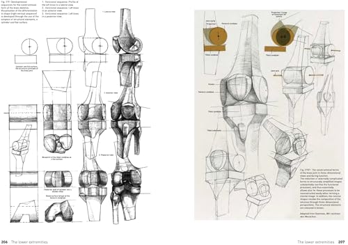 The Complete Guide to Anatomy for Artists & Illustrators