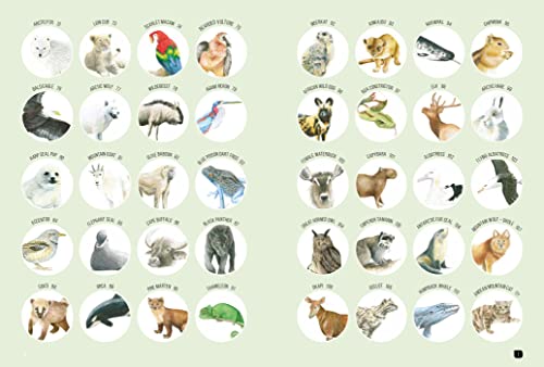 Draw 100: Animals: From basic shapes to amazing drawings in super-easy steps