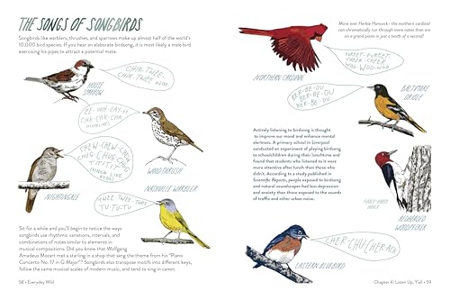 Everyday Wild: An Illustrated Guide for Mindfulness in Nature
