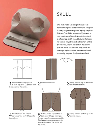 Outside the Box Origami: A New Generation of Extraordinary Folds: Includes Origami Book With 20 Projects Ranging From Easy to Complex