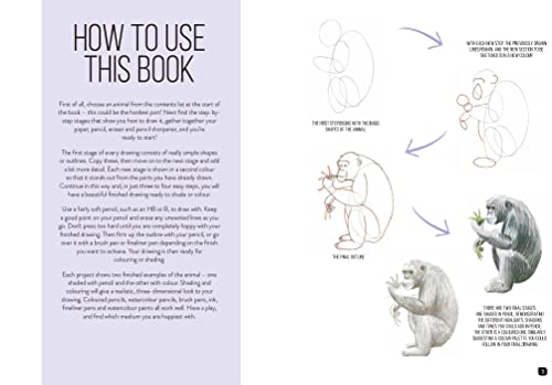 Draw 100: Animals: From basic shapes to amazing drawings in super-easy steps
