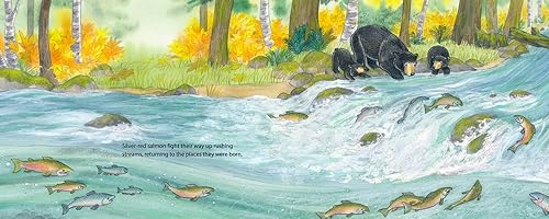 When Fall Comes: Connecting with Nature as the Days Grow Shorter (When Seasons Come)
