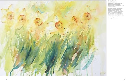 Jean Haines Colour & Light in Watercolour
