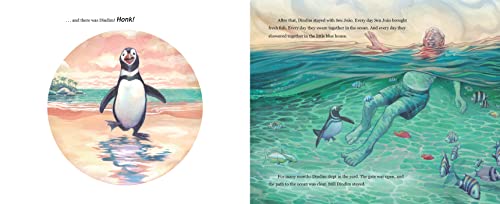 The Penguin of Ilha Grande: From Animal Rescue to Extraordinary Friendship