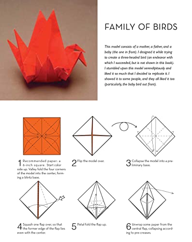 Outside the Box Origami: A New Generation of Extraordinary Folds: Includes Origami Book With 20 Projects Ranging From Easy to Complex