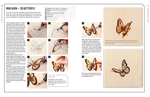 Innovative Artist: Art of Pyrography, The: Drawing with fire