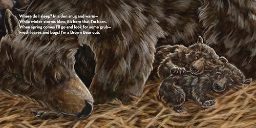 Where Do I Sleep?: A Nature Lullaby