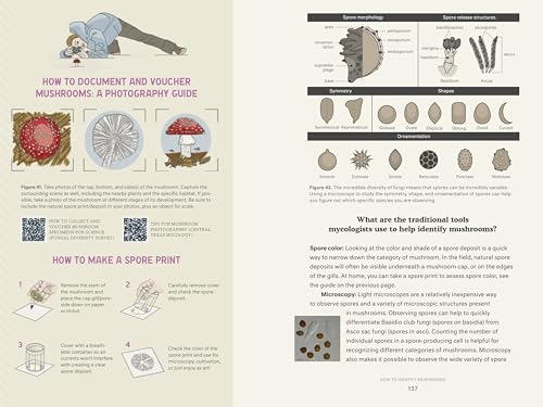 Dr. Fun Guy's Passport to Kingdom Fungi: A Scientist's Guide to the Wild and Wonderful World of Mushrooms, Molds, and More