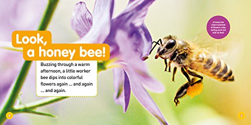 Explore My World: Honey Bees
