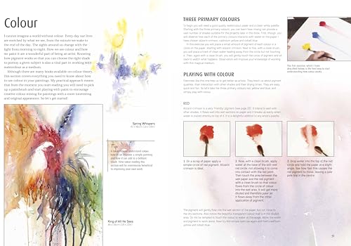 Jean Haines Colour & Light in Watercolour