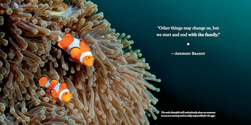Amazing Dads: Love and Lessons From the Animal Kingdom