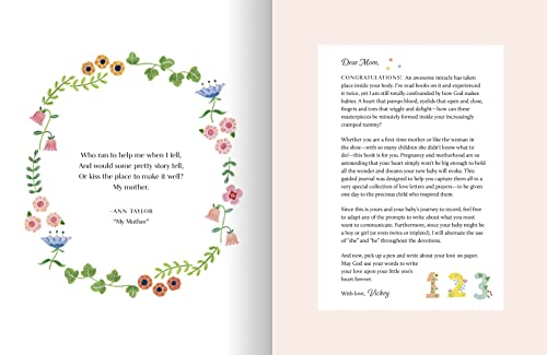 Love Letters to My Baby, Revised and Updated Edition: A Guided Journal for Expectant and New Mothers